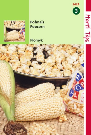 Popcorn Plomyk F1 (Zea mays) 25 Samen